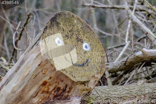 Image of Smiling face on logs