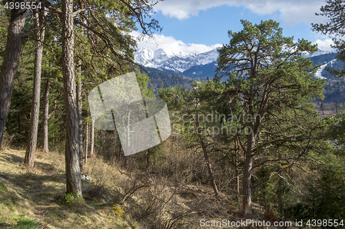 Image of Landscape Garmisch-Partenkirchen