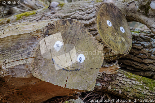 Image of Smiling face on logs