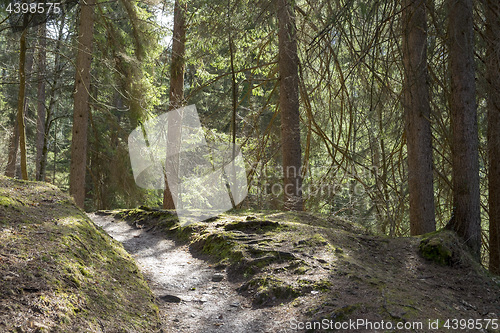 Image of Landscape Garmisch-Partenkirchen