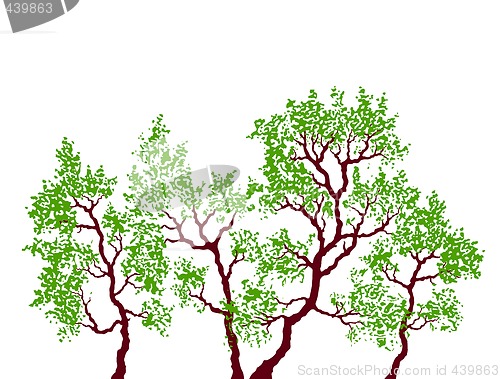 Image of trees