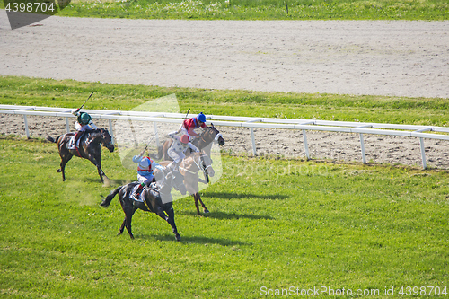 Image of Galloping race horses and jockeys in racing competition