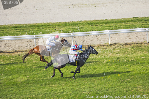 Image of Galloping race horses and jockeys in racing competition