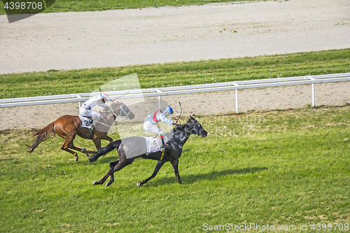 Image of Galloping race horses and jockeys in racing competition