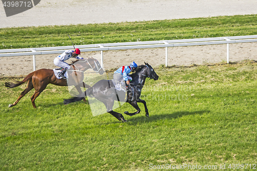 Image of Galloping race horses and jockeys in racing competition