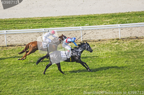 Image of Galloping race horses and jockeys in racing competition