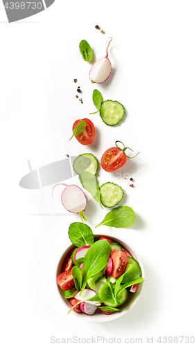 Image of bowl of fresh vegetable salad