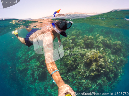 Image of Snorkel swims in shallow water, Red Sea, Egypt Safaga