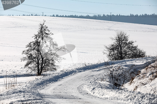 Image of Winter rural road on a sunny frosty day