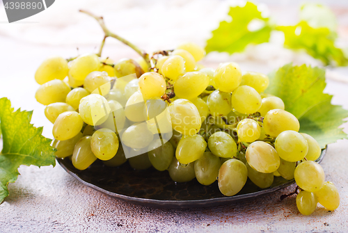 Image of grape