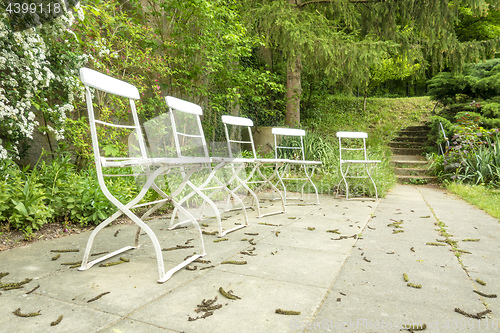 Image of five chairs outside in the green garden