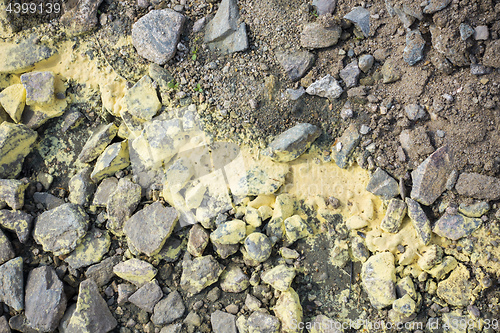 Image of a pollen residue at the lakeside