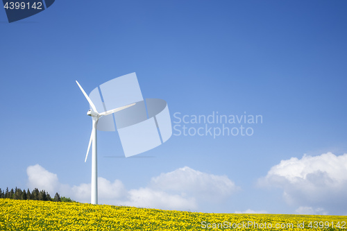 Image of a wind energy turbine in the dandelion meadow