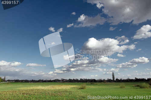 Image of Green field and blue sky