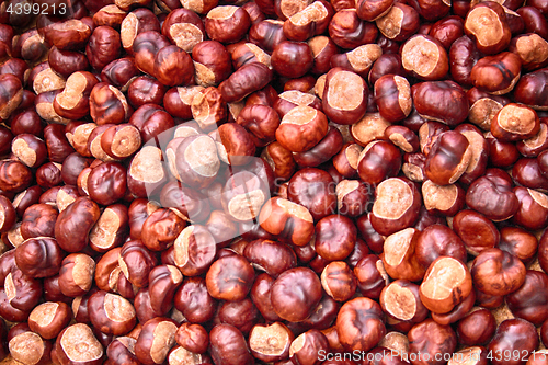 Image of chestnuts natural background