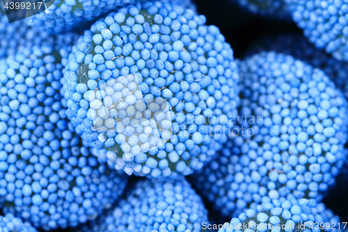 Image of blue jelly gumdrop sweet background