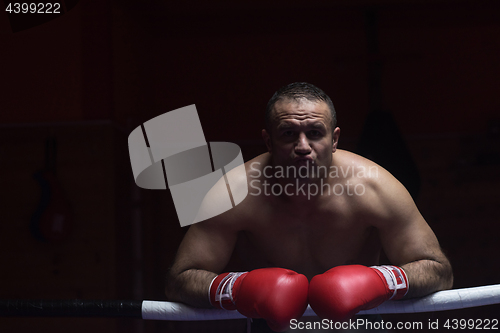 Image of portrait of muscular professional kickboxer