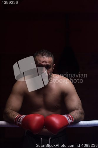 Image of portrait of muscular professional kickboxer