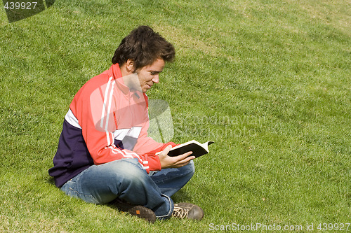 Image of Reading at the park