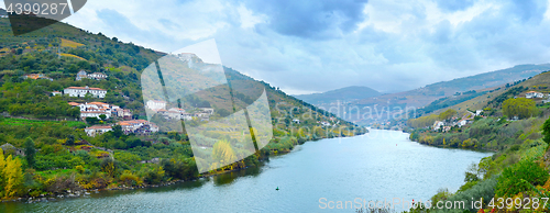 Image of Portugal Porto wine wineyards region