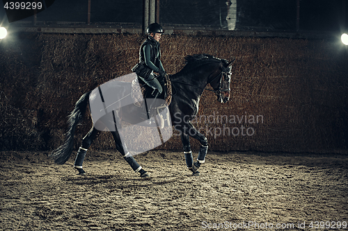 Image of Image of happy female sitting on purebred horse