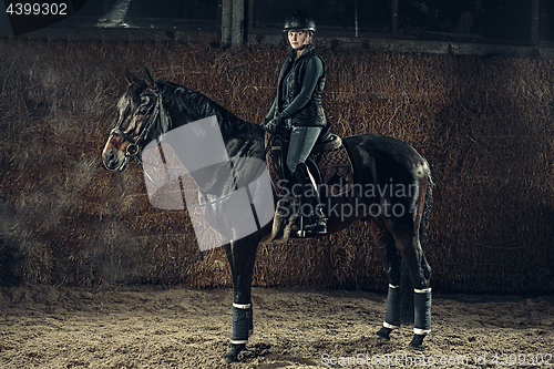 Image of Image of happy female sitting on purebred horse