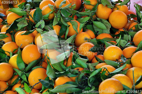Image of oranges fruit background