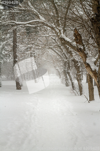 Image of Alley in snowy morning