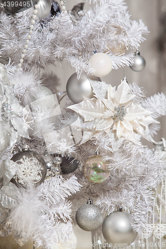 Image of Christmas Still Life