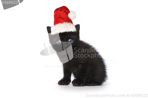 Image of Black Kitten Wearing a Santa Hat on White