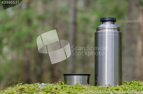 Image of Thermos in a mossy  forest