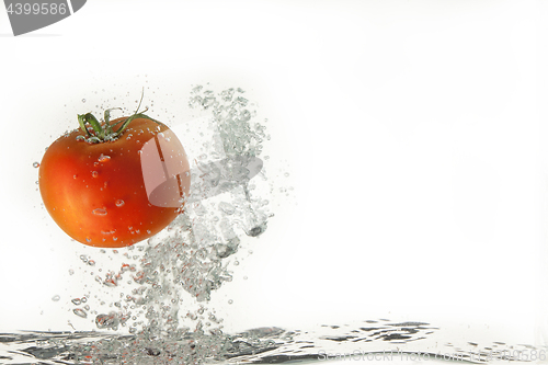 Image of Tomato In The Water