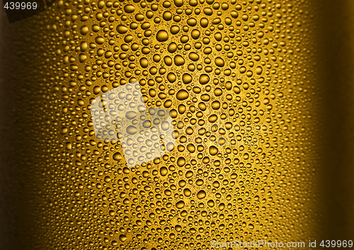 Image of beer