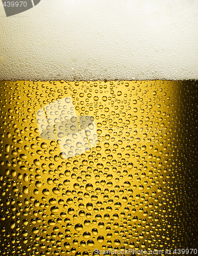 Image of beer