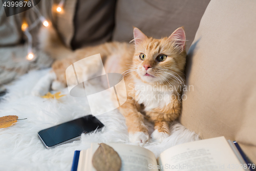 Image of red cat lying on sofa with smartphone at home