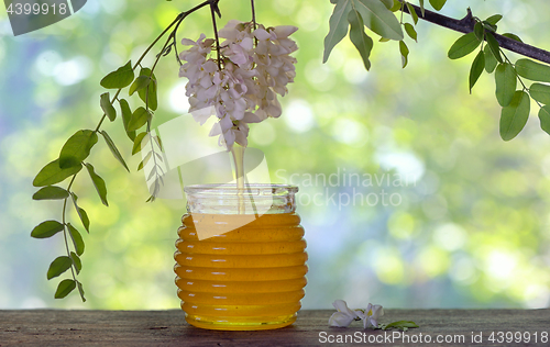 Image of Jar of honey with flowers of acacia