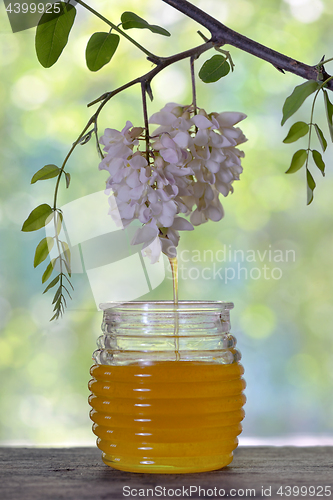 Image of Jar of honey with flowers of acacia 