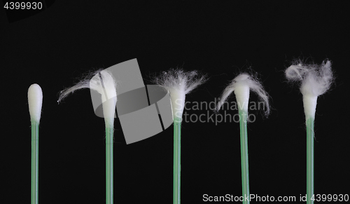 Image of Green cotton swabs - Hairdresser Client\'s Hair