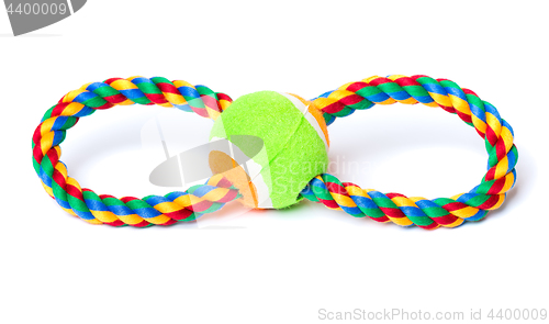 Image of Dog toy on white