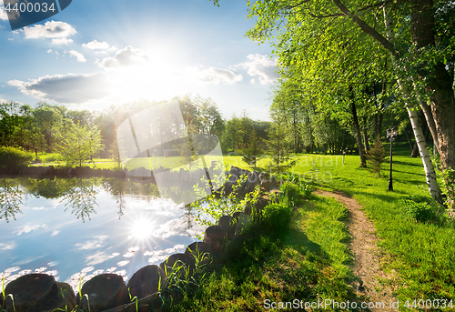 Image of Park in summer