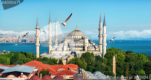 Image of Blue Mosque in Turkey