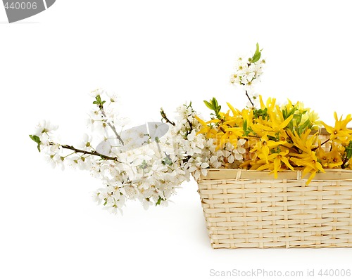 Image of spring flowers