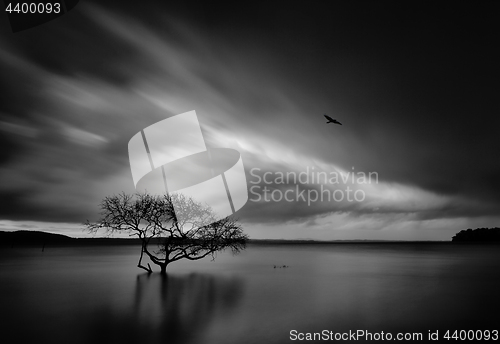 Image of Storm over Salamander Bay