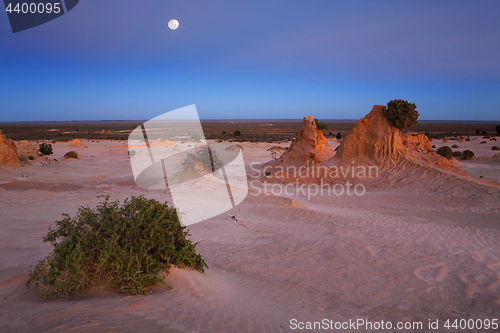 Image of Desert landscape at dawn