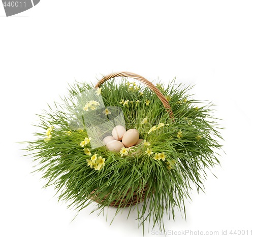 Image of easter eggs