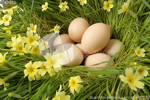 Image of easter eggs