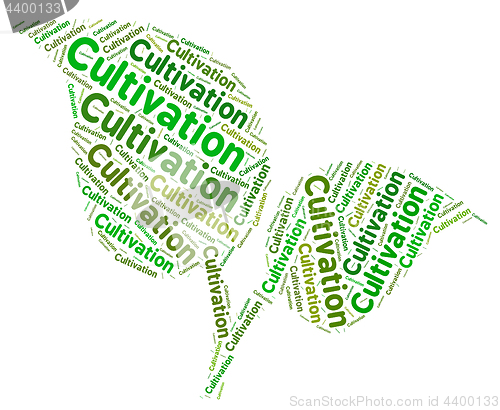 Image of Cultivation Word Means Farms Farming And Cultivates