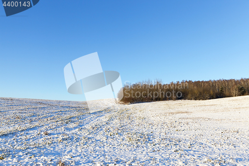 Image of landscape in winter