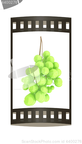 Image of Healthy fruits Green wine grapes isolated white background. Bunc