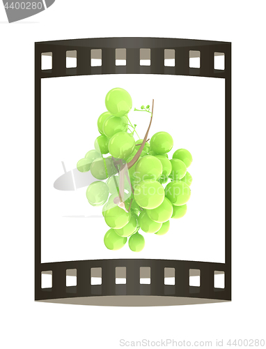 Image of Healthy fruits Green wine grapes isolated white background. Bunc